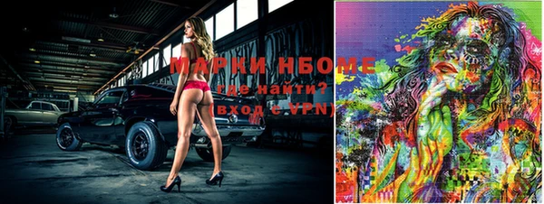 индика Белоозёрский